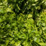 engin-akyurt-UzaIeuLilnM-unsplash