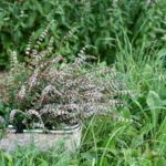 rasa-kasparaviciene-J9gtsG6JEnE-unsplash